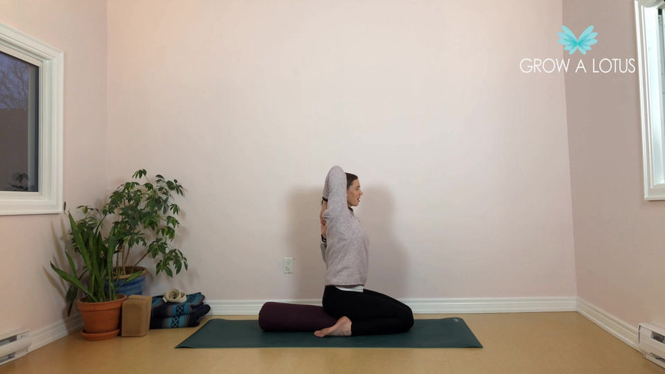 PreNatal: Shoulder Sequence